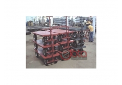 Carrinho Plataforma carga 800 kg